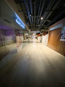 Lock Down Shopping Mal