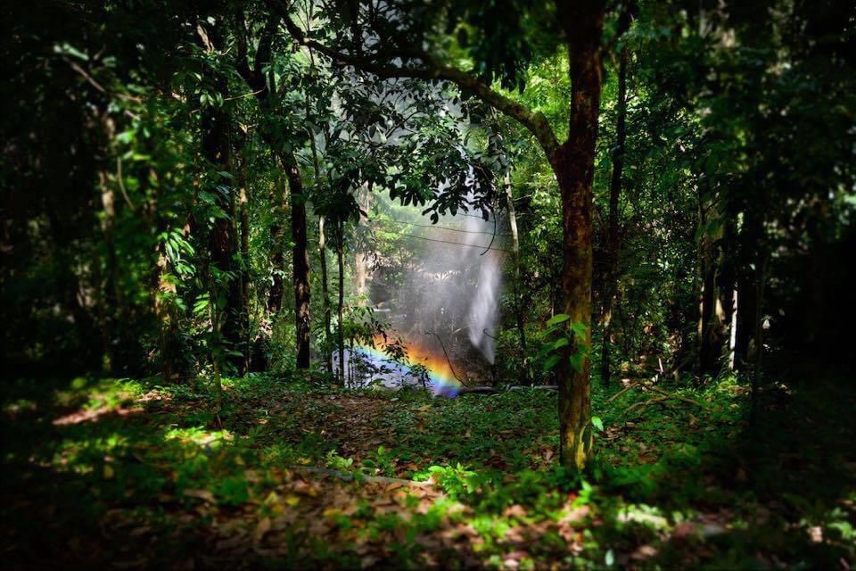 at the end of the rainbow